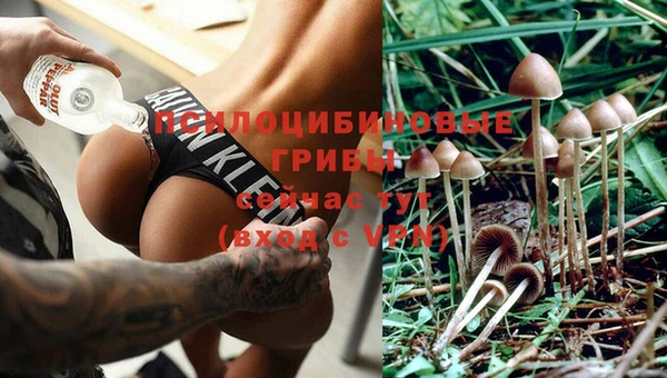 амф Алзамай